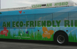 Broward County Bus Wrap